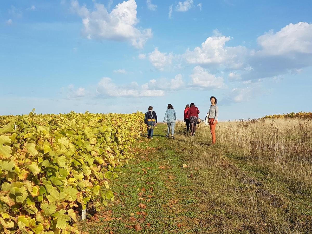 Aux Nids D'Hirondelles Lägenhet Pouilly-sur-Loire Exteriör bild