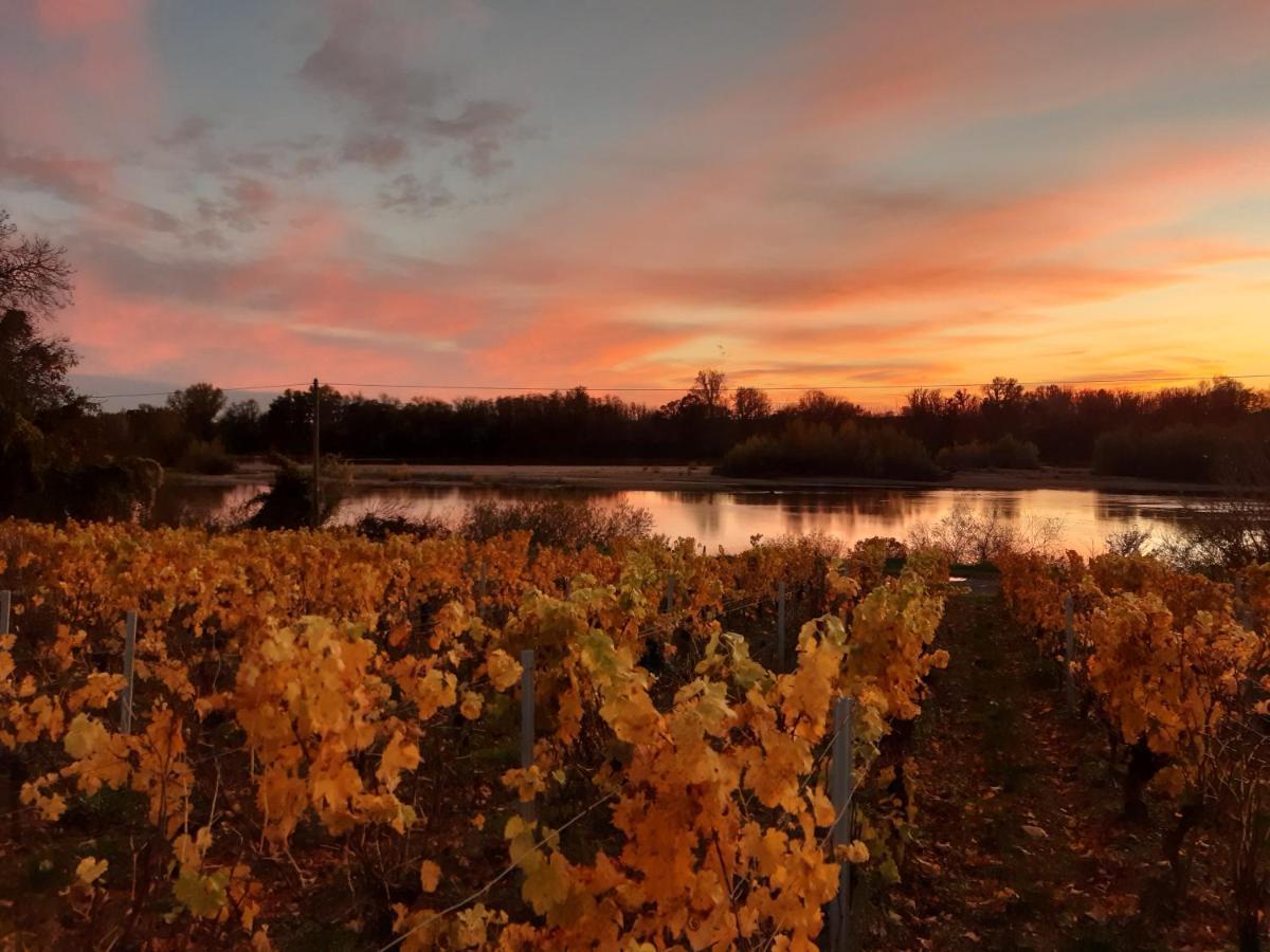 Aux Nids D'Hirondelles Lägenhet Pouilly-sur-Loire Exteriör bild